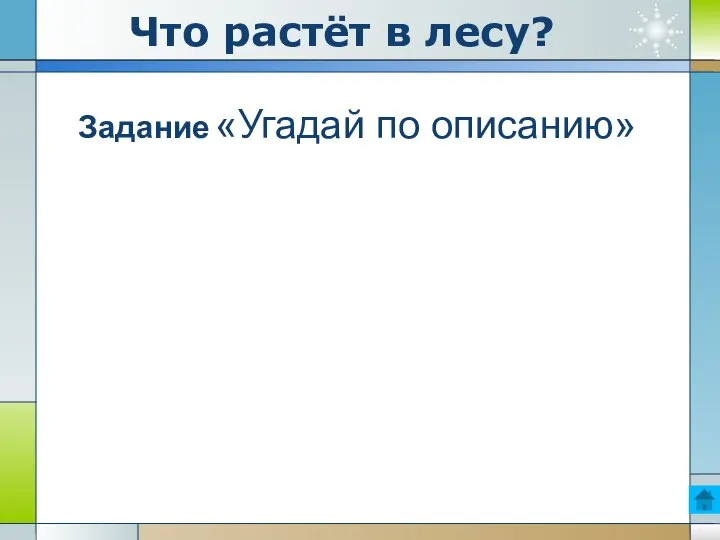 Что растёт в лесу? Задание «Угадай по описанию»