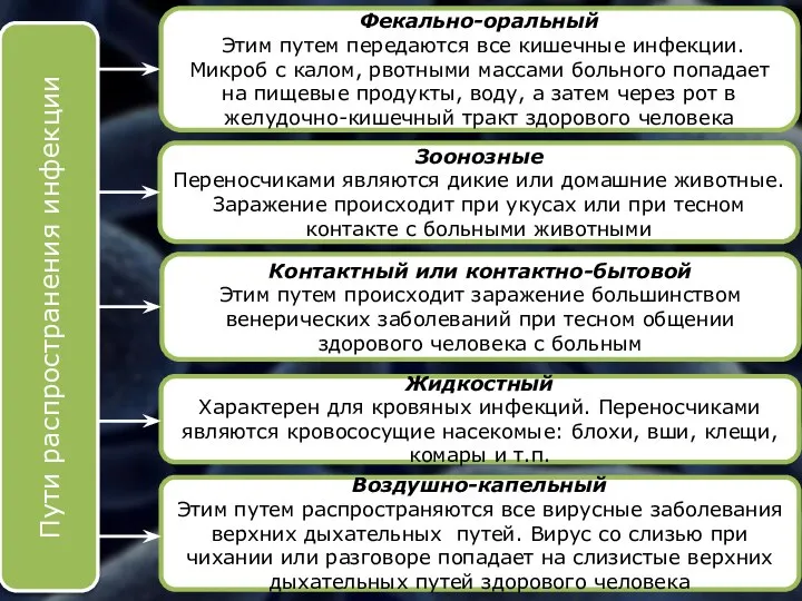 Фекально-оральный Этим путем передаются все кишечные инфекции. Микроб с калом, рвотными массами