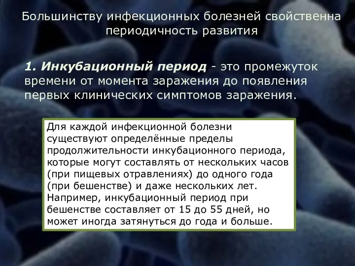 Большинству инфекционных болезней свойственна периодичность развития 1. Инкубационный период - это промежуток