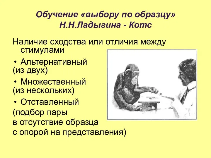 Обучение «выбору по образцу» Н.Н.Ладыгина - Котс Наличие сходства или отличия между