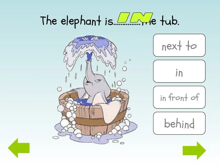 The elephant is……………the tub. in next to in in front of behind