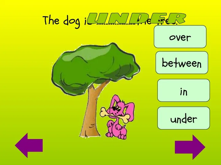 The dog is ………………....the tree. under under between over in