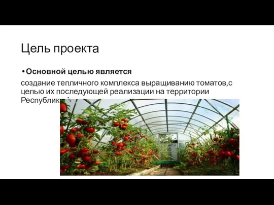 Цель проекта Основной целью является создание тепличного комплекса выращиванию томатов,с целью их
