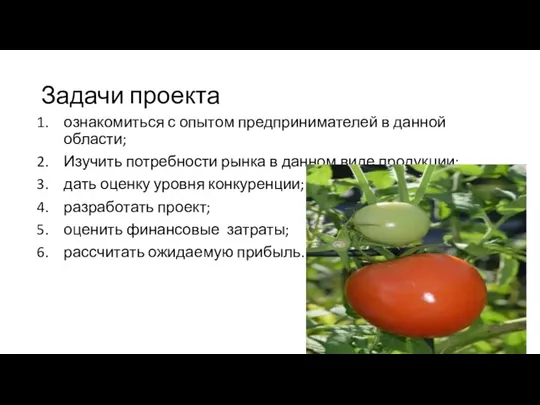 Задачи проекта ознакомиться с опытом предпринимателей в данной области; Изучить потребности рынка