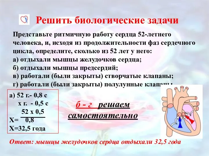 Представьте ритмичную работу сердца 52-летнего человека, и, исходя из продолжительности фаз сердечного