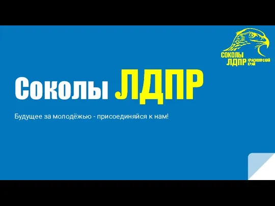 Соколы. Будущее за молодёжью - присоединяйся к нам!