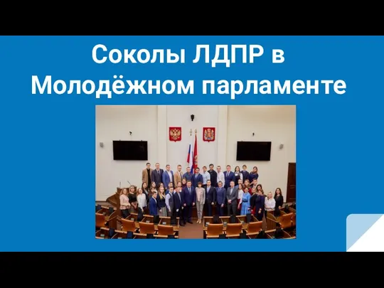 Соколы ЛДПР в Молодёжном парламенте