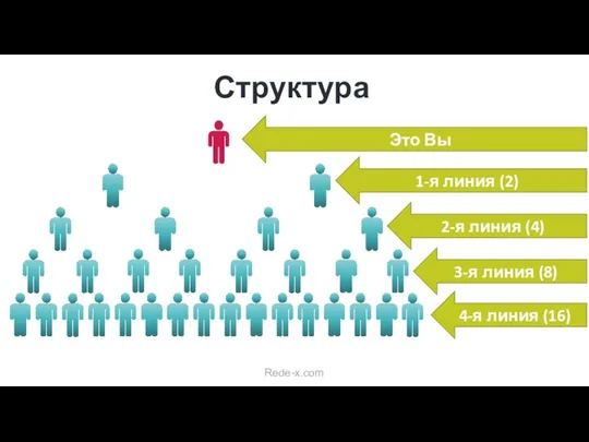 Структура Rede-x.com Это Вы 1-я линия (2) 2-я линия (4) 3-я линия (8) 4-я линия (16)