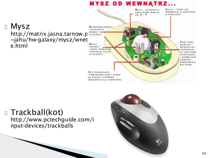 Mysz http://matrix.jasna.tarnow.pl/~jahu/hw-galaxy/mysz/wnetrze.html Trackball(kot) http://www.pctechguide.com/input-devices/trackballs