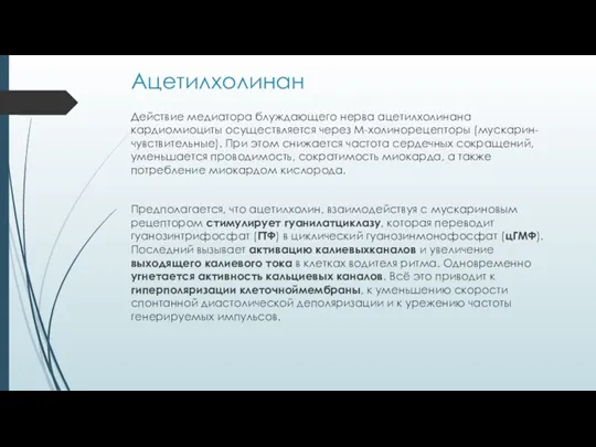 Ацетилхолинан Действие медиатора блуждающего нерва ацетилхолинана кардиомиоциты осуществляется через М-холинорецепторы (мускарин-чувствительные). При