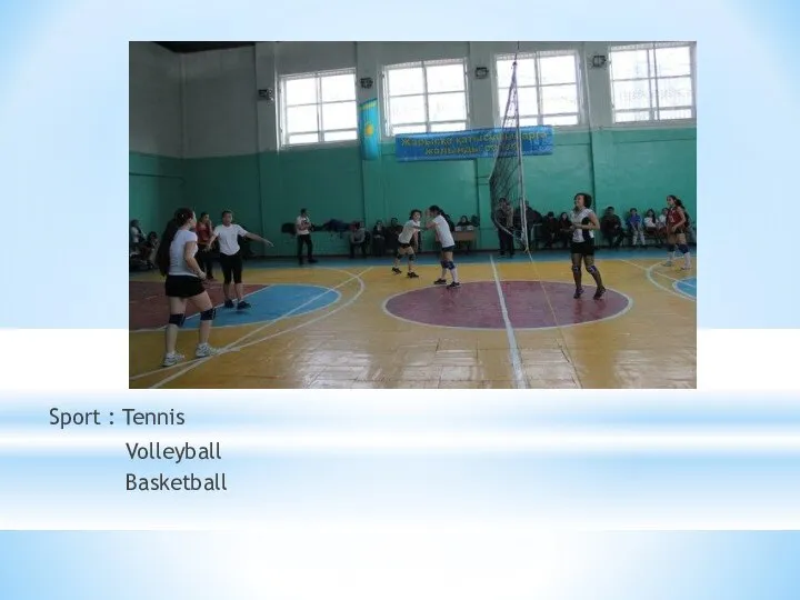 Sport : Tennis Volleyball Basketball