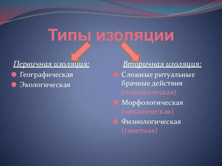 Типы изоляции Первичная изоляция: Географическая Экологическая Вторичная изоляция: Сложные ритуальные брачные действия