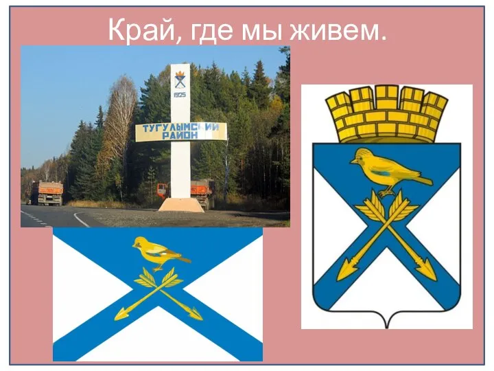 Край, где мы живем.