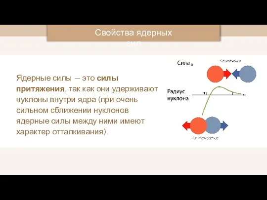 Ядерные силы — это силы притяжения, так как они удерживают нуклоны внутри