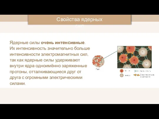 Ядерные силы очень интенсивные. Их интенсивность значительно больше интенсивности электромагнитных сил, так