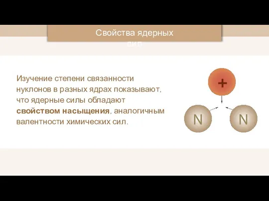 Изучение степени связанности нуклонов в разных ядрах показывают, что ядерные силы обладают