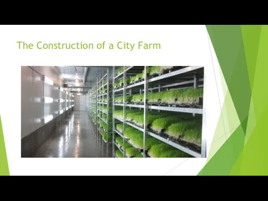 The Construction of a City Farm