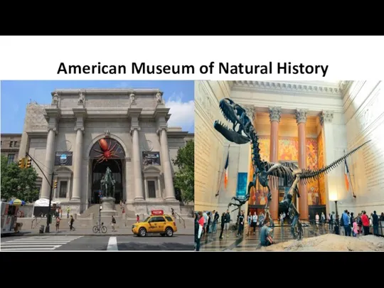 American Museum of Natural History