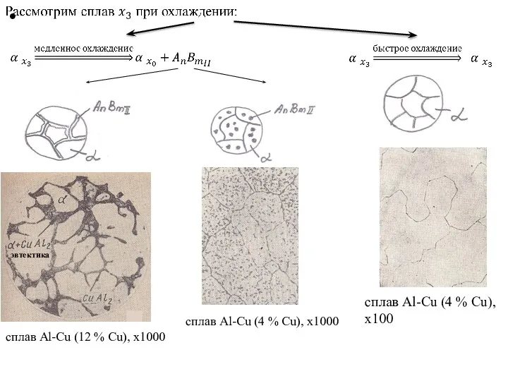 сплав Al-Cu (4 % Cu), х100 сплав Al-Cu (4 % Cu), х1000