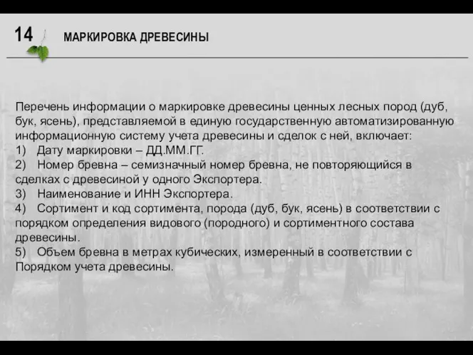 Перечень информации о маркировке древесины ценных лесных пород (дуб, бук, ясень), представляемой