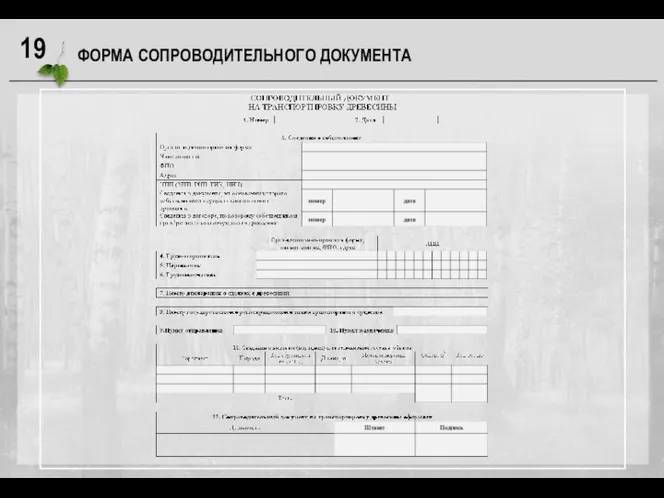 ФОРМА СОПРОВОДИТЕЛЬНОГО ДОКУМЕНТА