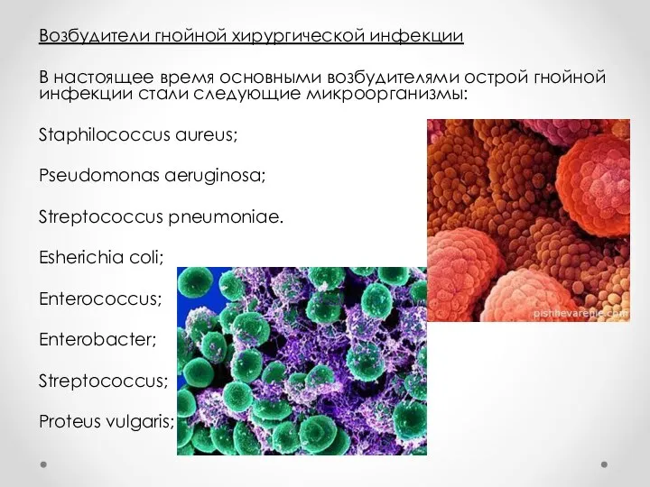Возбудители гнойной хирургической инфекции В настоящее время основными возбудителями острой гнойной инфекции