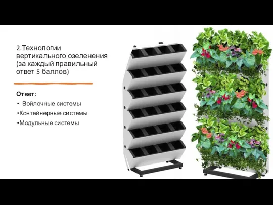 2.Технологии вертикального озеленения (за каждый правильный ответ 5 баллов) Ответ: Войлочные системы Контейнерные системы Модульные системы