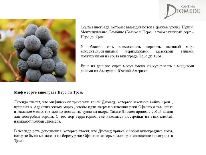 Миф о сорте винограда Неро ди Троя: Легенда гласит, что мифический греческий