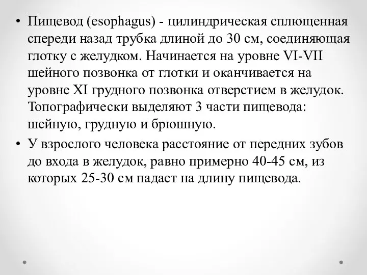 Пищевод (esophagus) - цилиндрическая сплющенная спереди назад трубка длиной до 30 см,