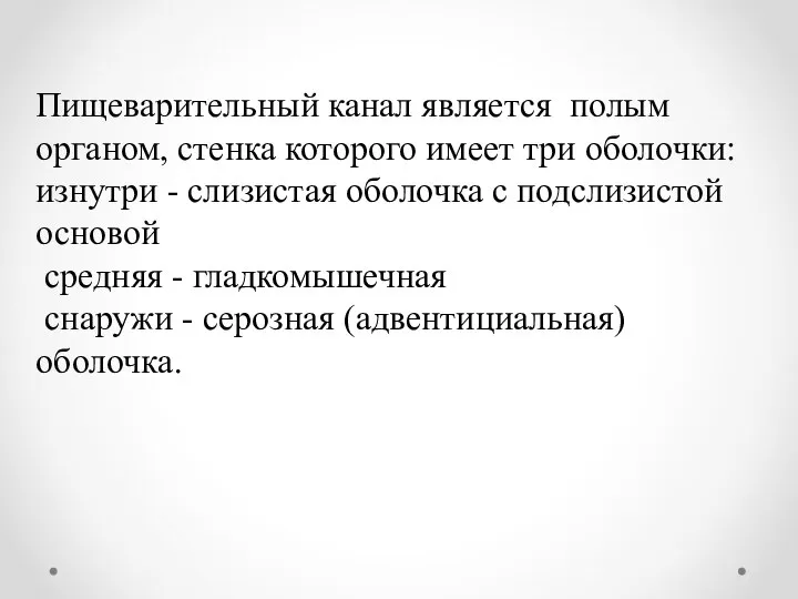 Пищеварительный канал является полым органом, стенка которого имеет три оболочки: изнутри -