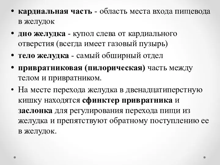 кардиальная часть - область места входа пищевода в желудок дно желудка -