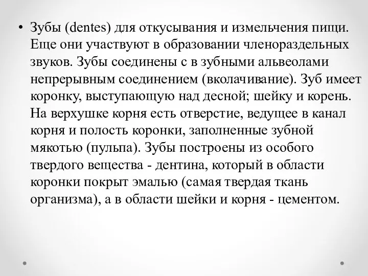 Зубы (dentes) для откусывания и измельчения пищи. Еще они участвуют в образовании