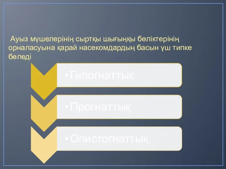 Ауыз мүшелерінің сыртқы шығыңқы бөліктерінің орналасуына қарай насекомдардың басын үш типке бөледі