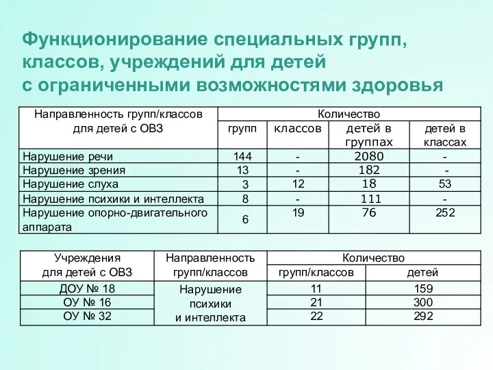 Функционирование специальных групп, классов, учреждений для детей с ограниченными возможностями здоровья