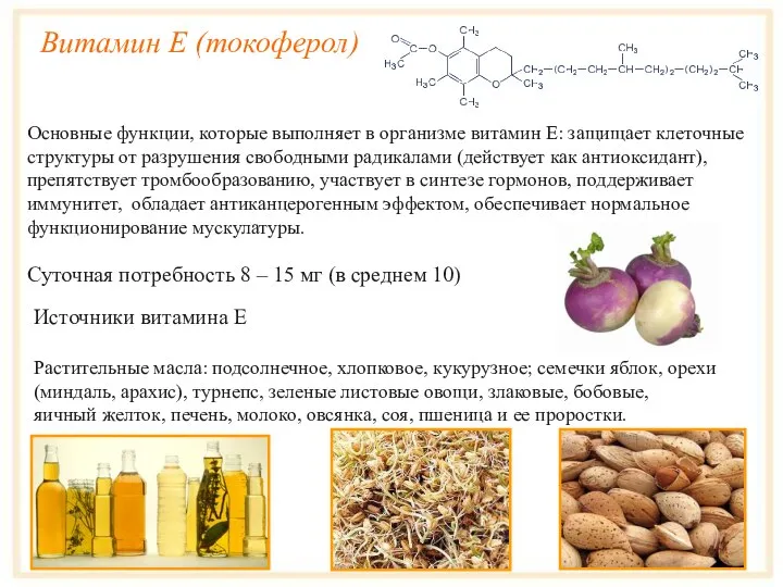 Витамин E (токоферол) Основные функции, которые выполняет в организме витамин Е: защищает