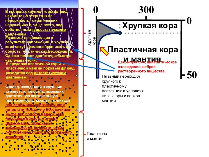 Без исключения для всех эндогенных процессов важны реологические свойства коры мантии и