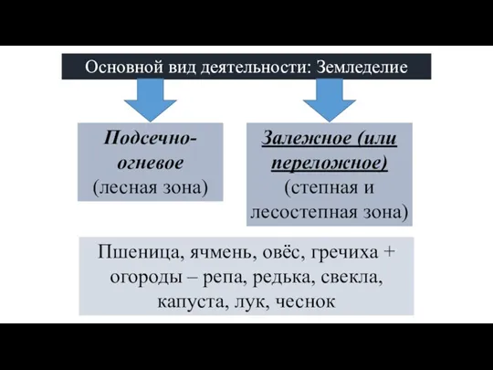 Основной вид деятельности: Земледелие Подсечно-огневое (лесная зона) Залежное (или переложное) (степная и