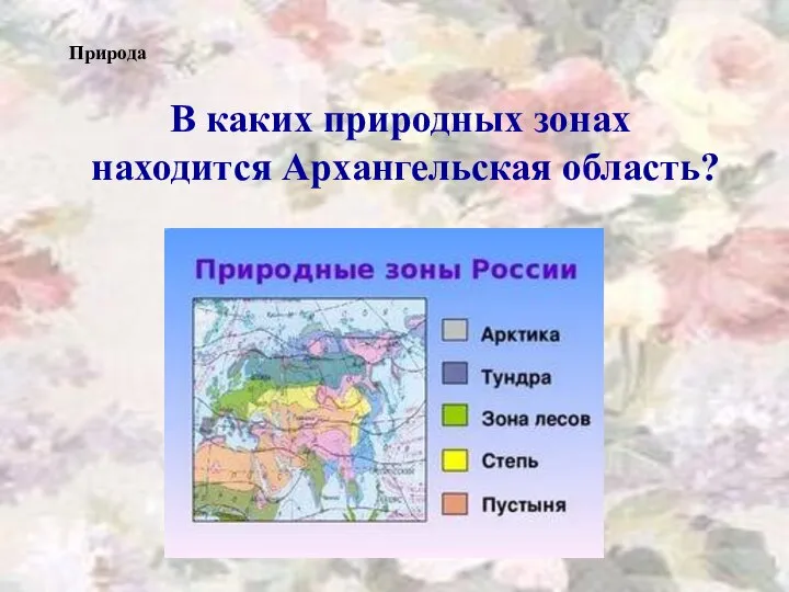 В каких природных зонах находится Архангельская область? Природа
