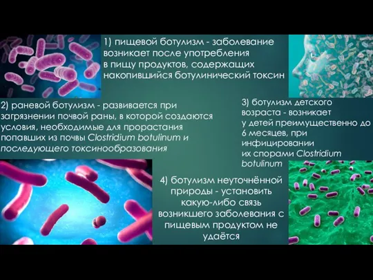 1) пищевой ботулизм - заболевание возникает после употребления в пищу продуктов, содержащих