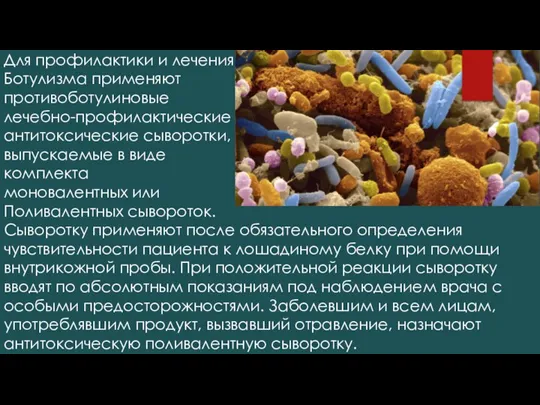 Для профилактики и лечения Ботулизма применяют противоботулиновые лечебно-профилактические антитоксические сыворотки, выпускаемые в