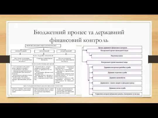 Бюджетний процес та державний фінансовий контроль