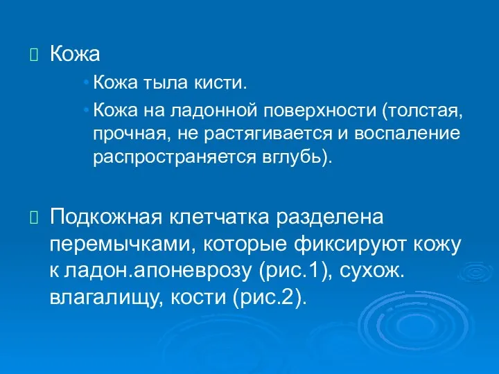 Кожа Кожа тыла кисти. Кожа на ладонной поверхности (толстая, прочная, не растягивается