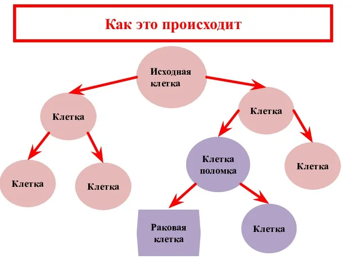 Исходная клетка Клетка Клетка поломка Раковая клетка Клетка Клетка Клетка Клетка Клетка Как это происходит