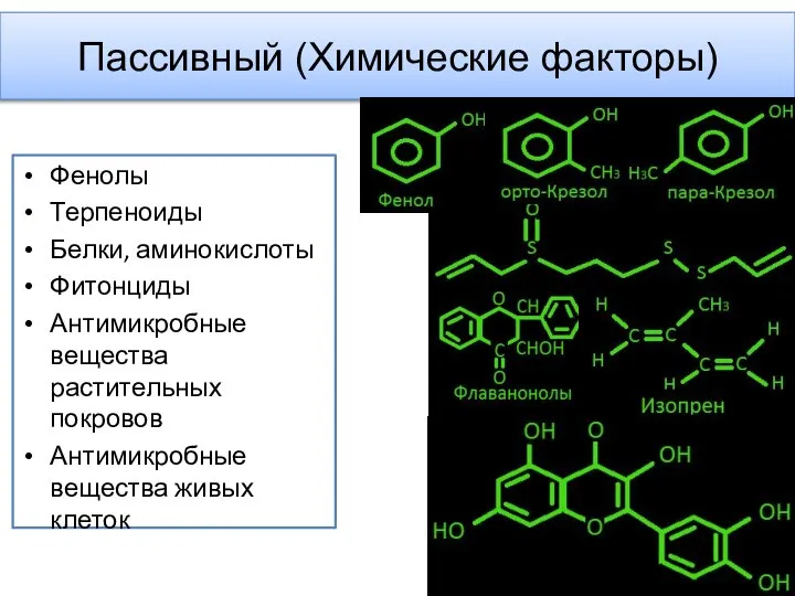 Пассивный (Химические факторы) Фенолы Терпеноиды Белки, аминокислоты Фитонциды Антимикробные вещества растительных покровов Антимикробные вещества живых клеток