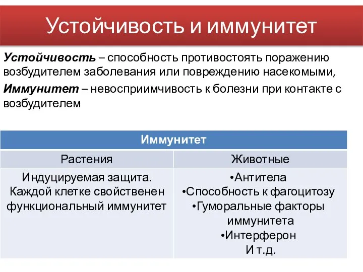 Устойчивость – способность противостоять поражению возбудителем заболевания или повреждению насекомыми, Иммунитет –