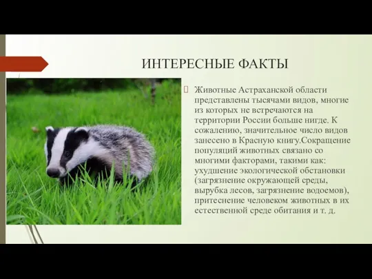ИНТЕРЕСНЫЕ ФАКТЫ Животные Астраханской области представлены тысячами видов, многие из которых не