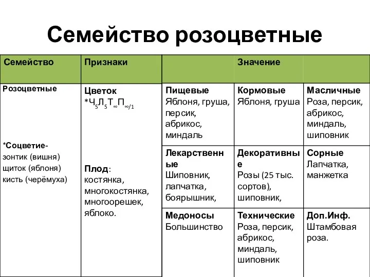 Семейство розоцветные