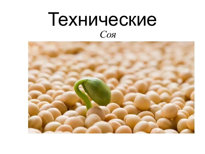 Технические Соя