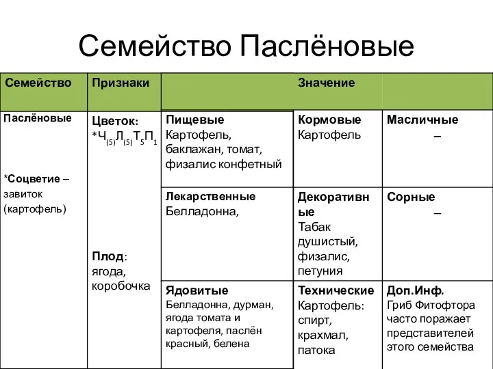 Семейство Паслёновые