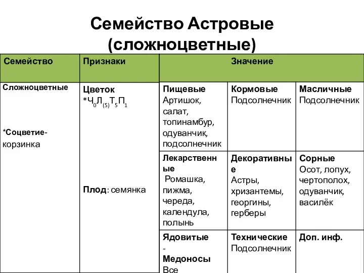 Семейство Астровые (сложноцветные)